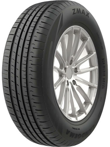 фото протектора и шины LANDGEMA Шина ZMAX LANDGEMA 205/55 R16 91V